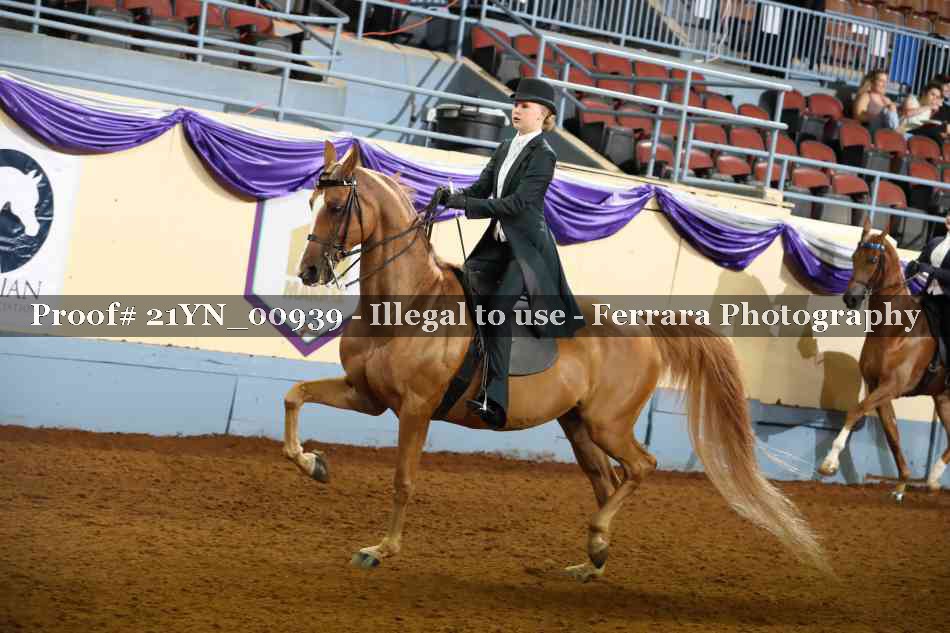 Proof Number 21YN_00939