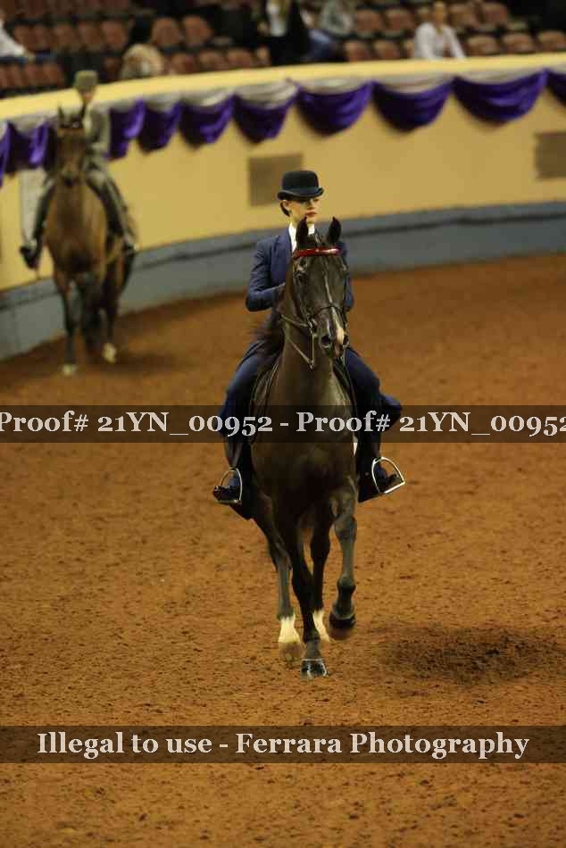 Proof Number 21YN_00952