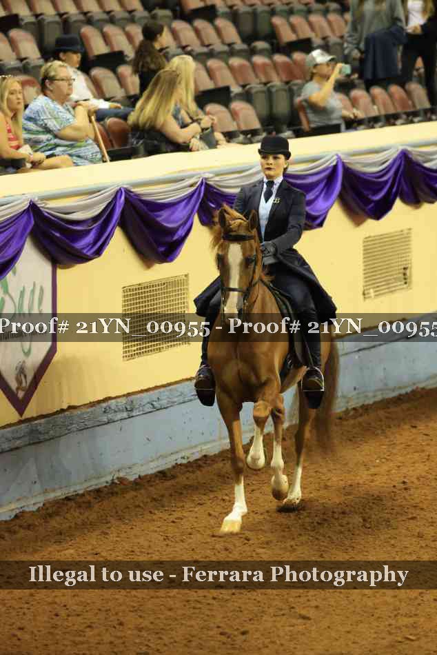 Proof Number 21YN_00955