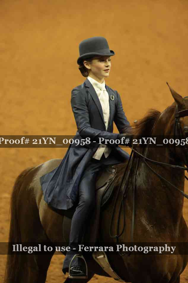 Proof Number 21YN_00958
