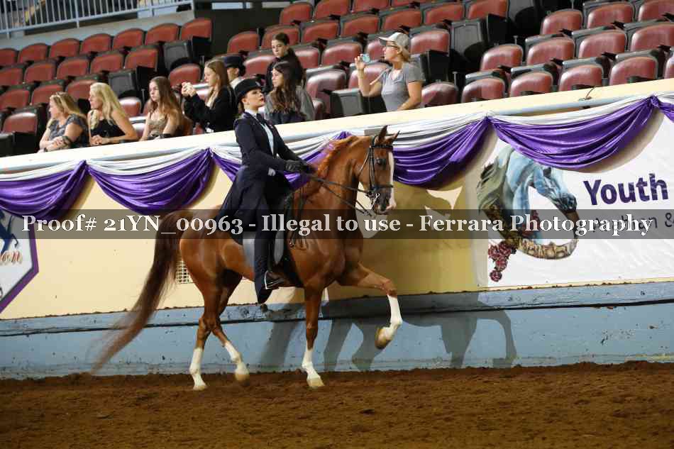 Proof Number 21YN_00963