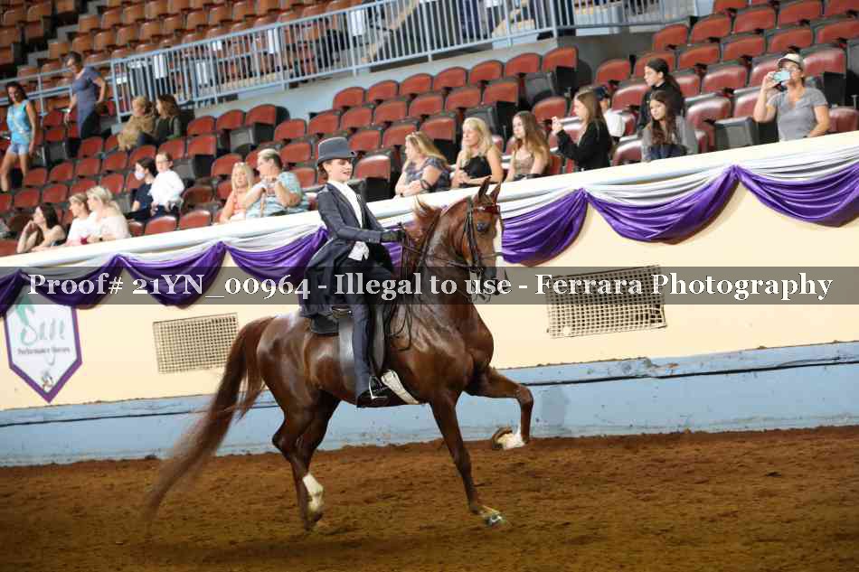 Proof Number 21YN_00964