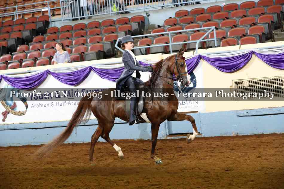 Proof Number 21YN_00965