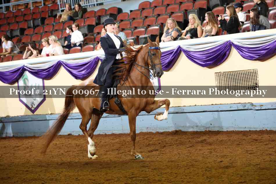 Proof Number 21YN_00967