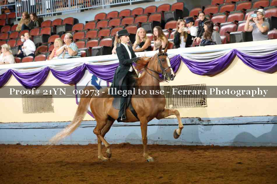 Proof Number 21YN_00973