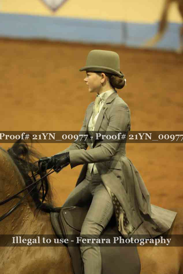 Proof Number 21YN_00977