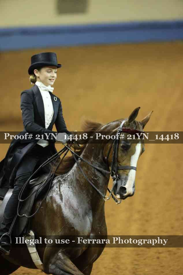 Proof Number 21YN_14418