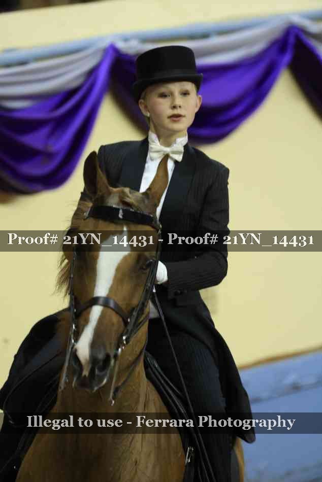 Proof Number 21YN_14431