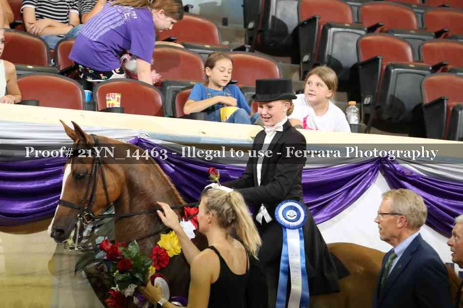 Proof Number 21YN_14463