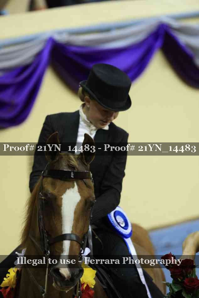 Proof Number 21YN_14483