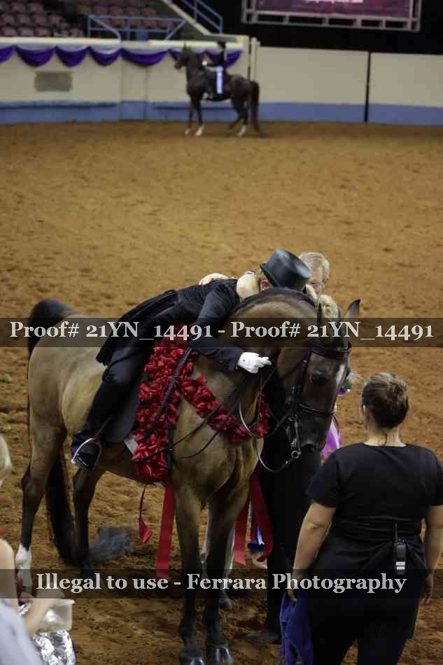 Proof Number 21YN_14491