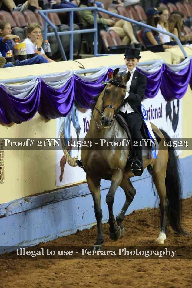 Proof Number 21YN_14523