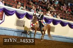 21YN_14533 thumbnail