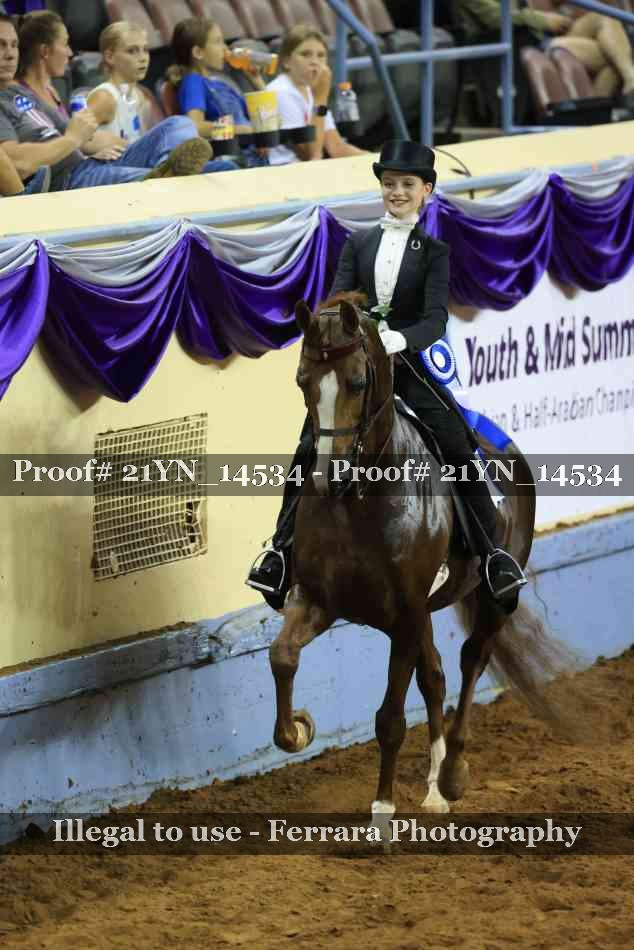 Proof Number 21YN_14534