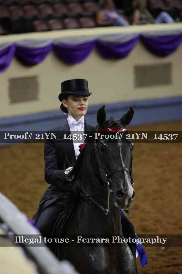Proof Number 21YN_14537