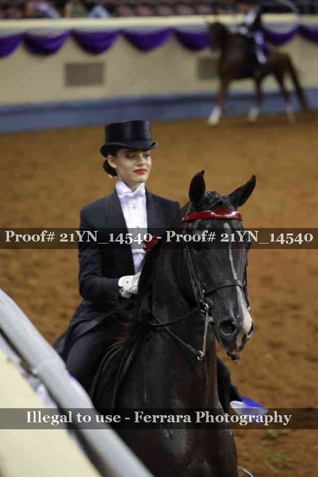 Proof Number 21YN_14540