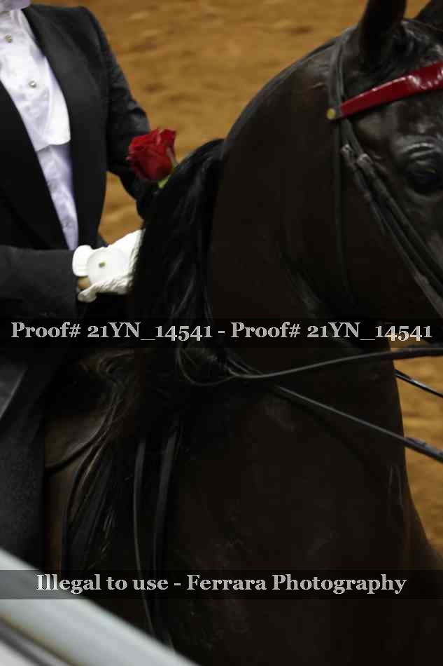 Proof Number 21YN_14541