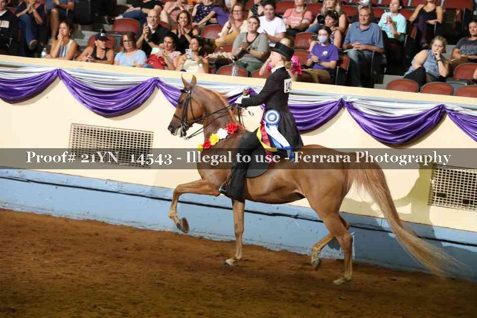 Proof Number 21YN_14543
