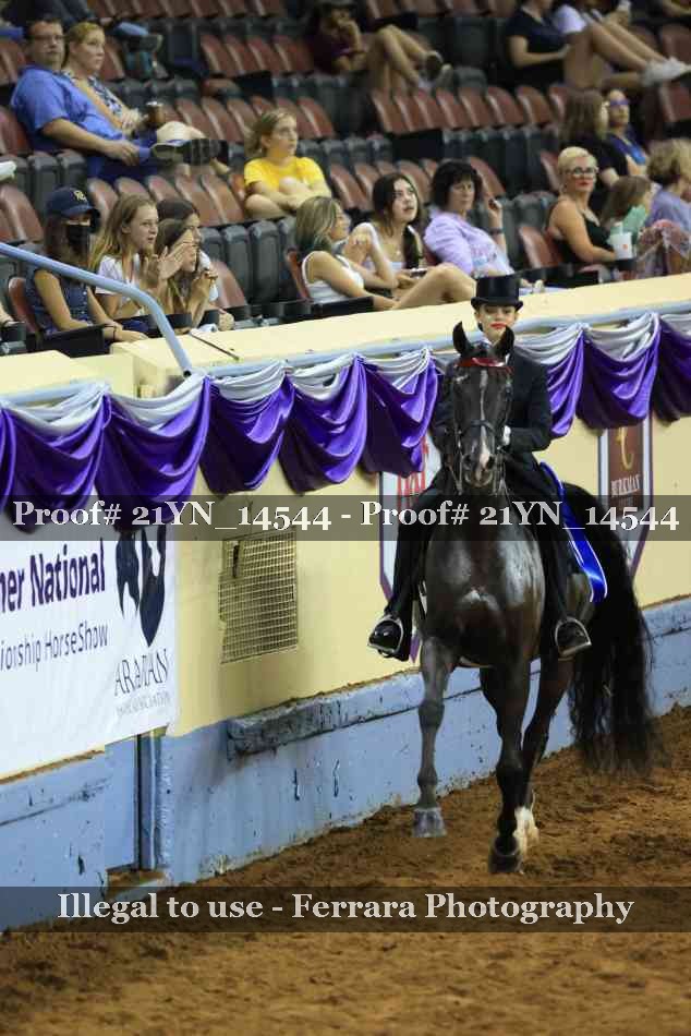 Proof Number 21YN_14544