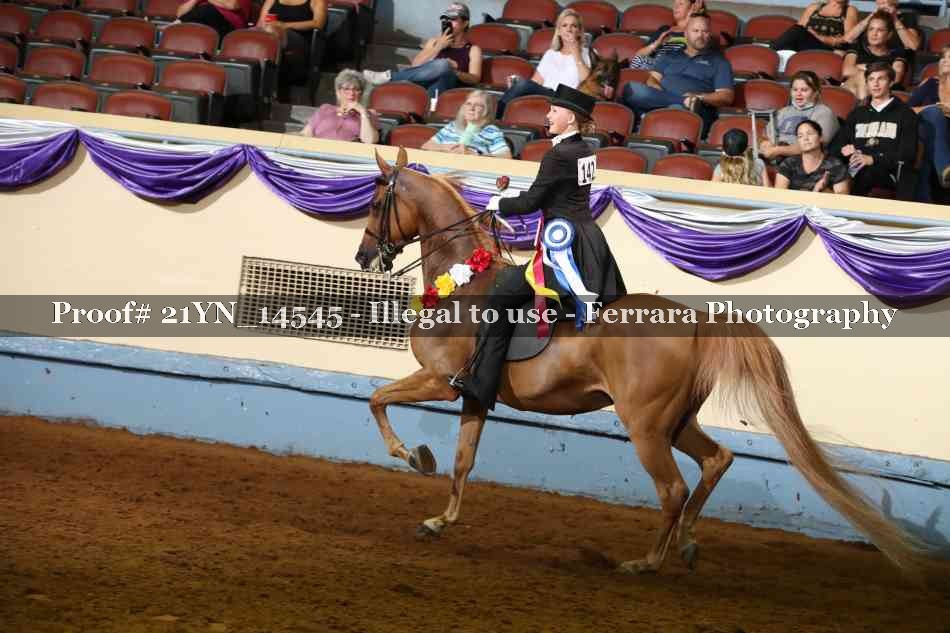 Proof Number 21YN_14545