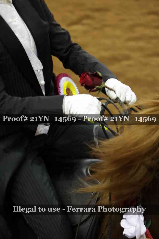 Proof Number 21YN_14569