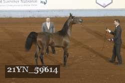 21YN_59614 thumbnail