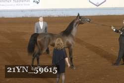 21YN_59615 thumbnail