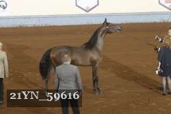 21YN_59616 thumbnail