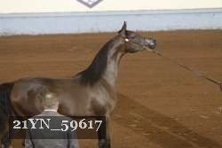 21YN_59617 thumbnail