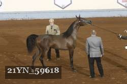 21YN_59618 thumbnail