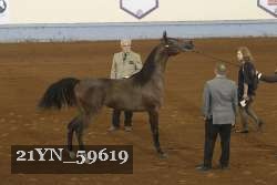 21YN_59619 thumbnail
