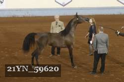 21YN_59620 thumbnail