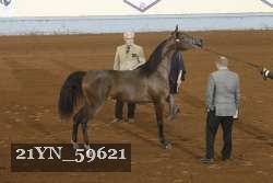 21YN_59621 thumbnail