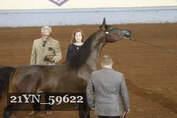 21YN_59622 thumbnail