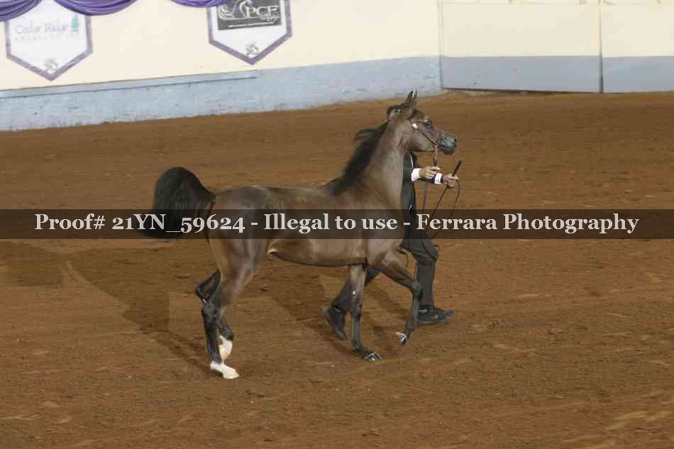 Proof Number 21YN_59624