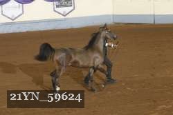 21YN_59624 thumbnail