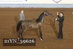 21YN_59626 thumbnail