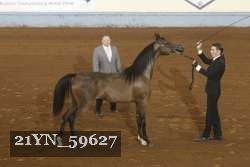 21YN_59627 thumbnail