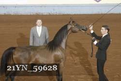 21YN_59628 thumbnail