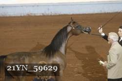 21YN_59629 thumbnail