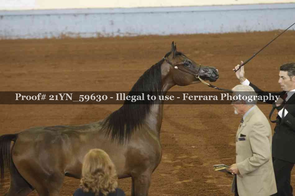 Proof Number 21YN_59630