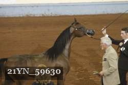 21YN_59630 thumbnail