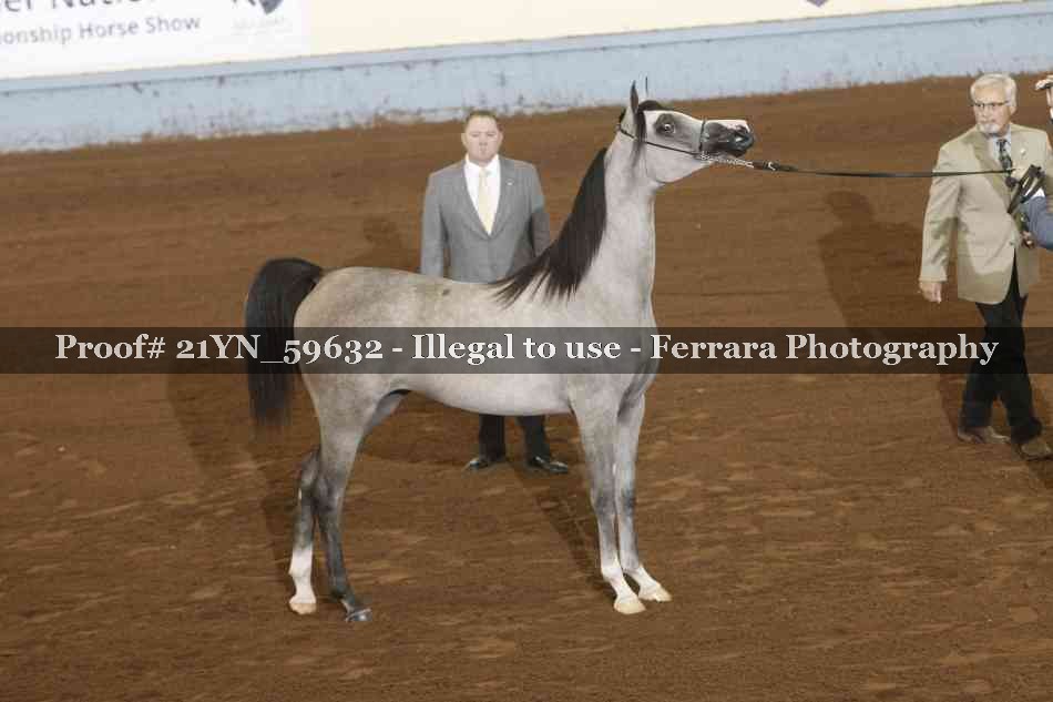 Proof Number 21YN_59632