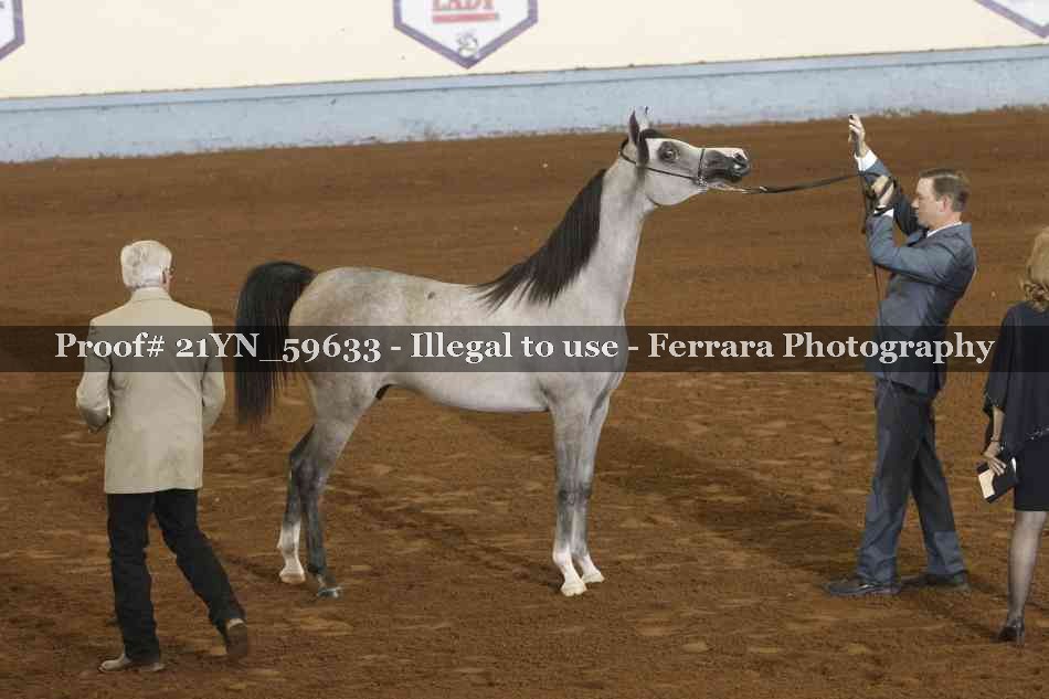 Proof Number 21YN_59633