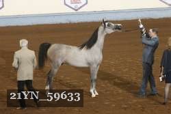 21YN_59633 thumbnail