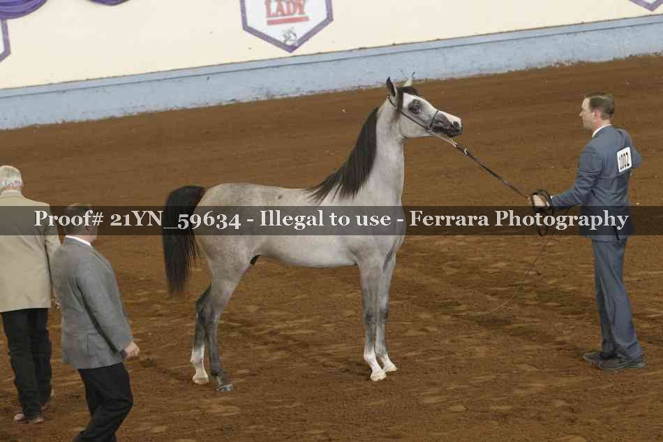 Proof Number 21YN_59634