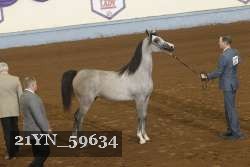 21YN_59634 thumbnail