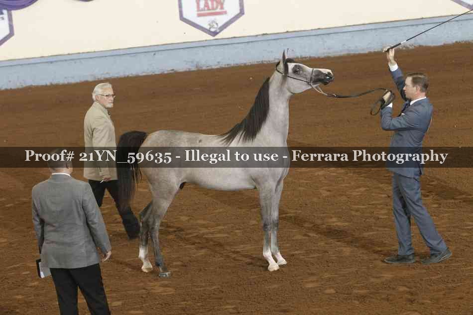 Proof Number 21YN_59635