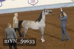 21YN_59635 thumbnail