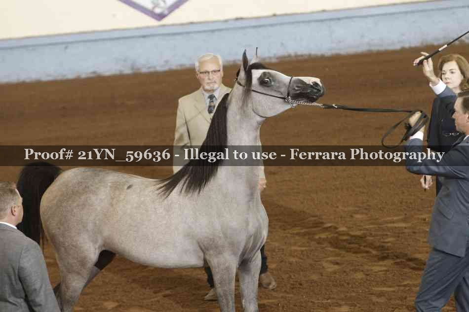 Proof Number 21YN_59636